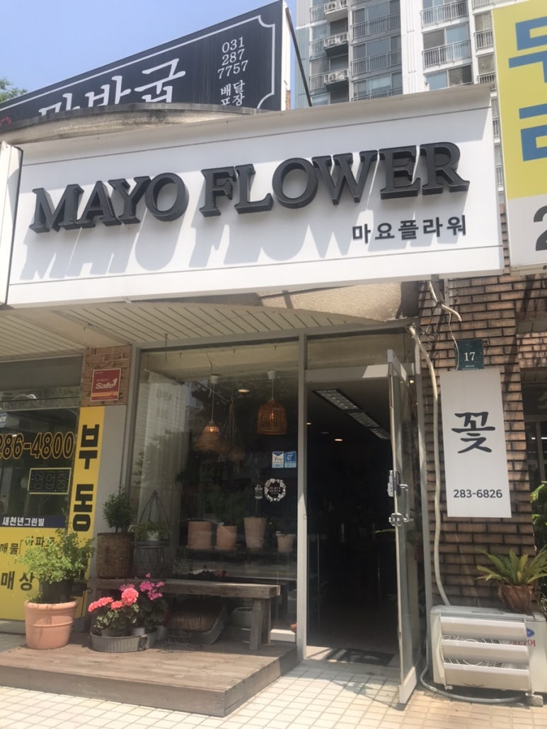 마요앤플라워 이미지