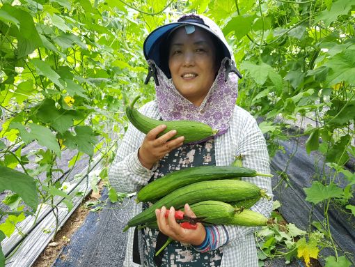 춘향농원 이미지