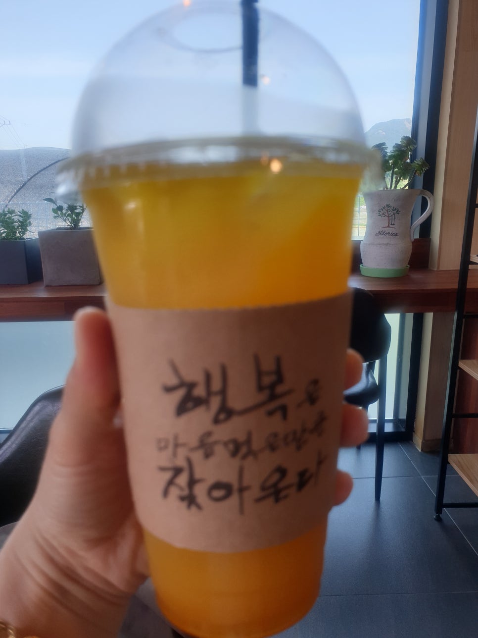 커피로제타 이미지
