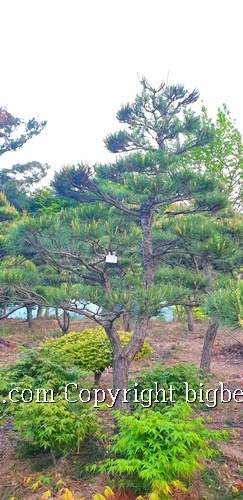 소사농장 이미지