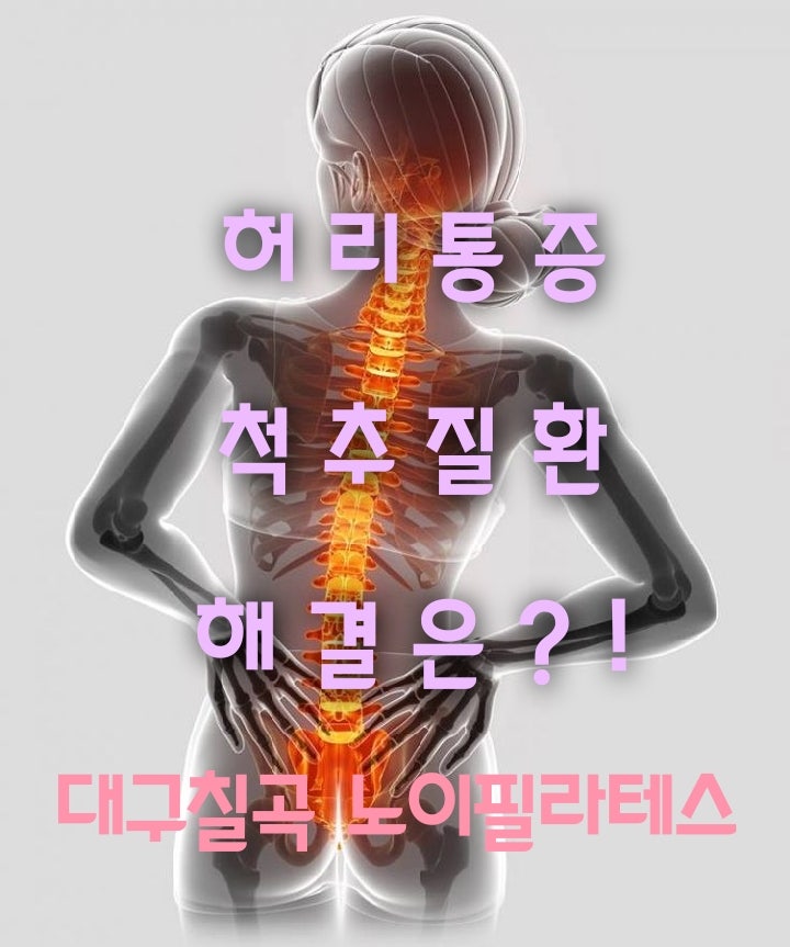 엘리노이 이미지