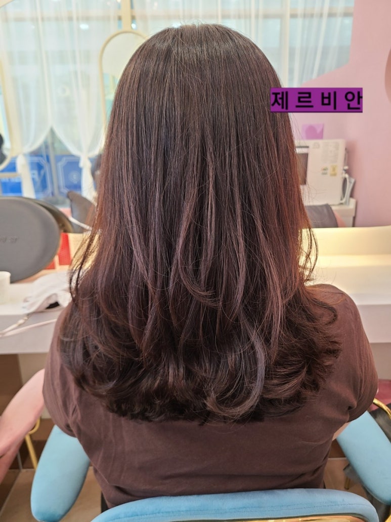 제르비안 이미지