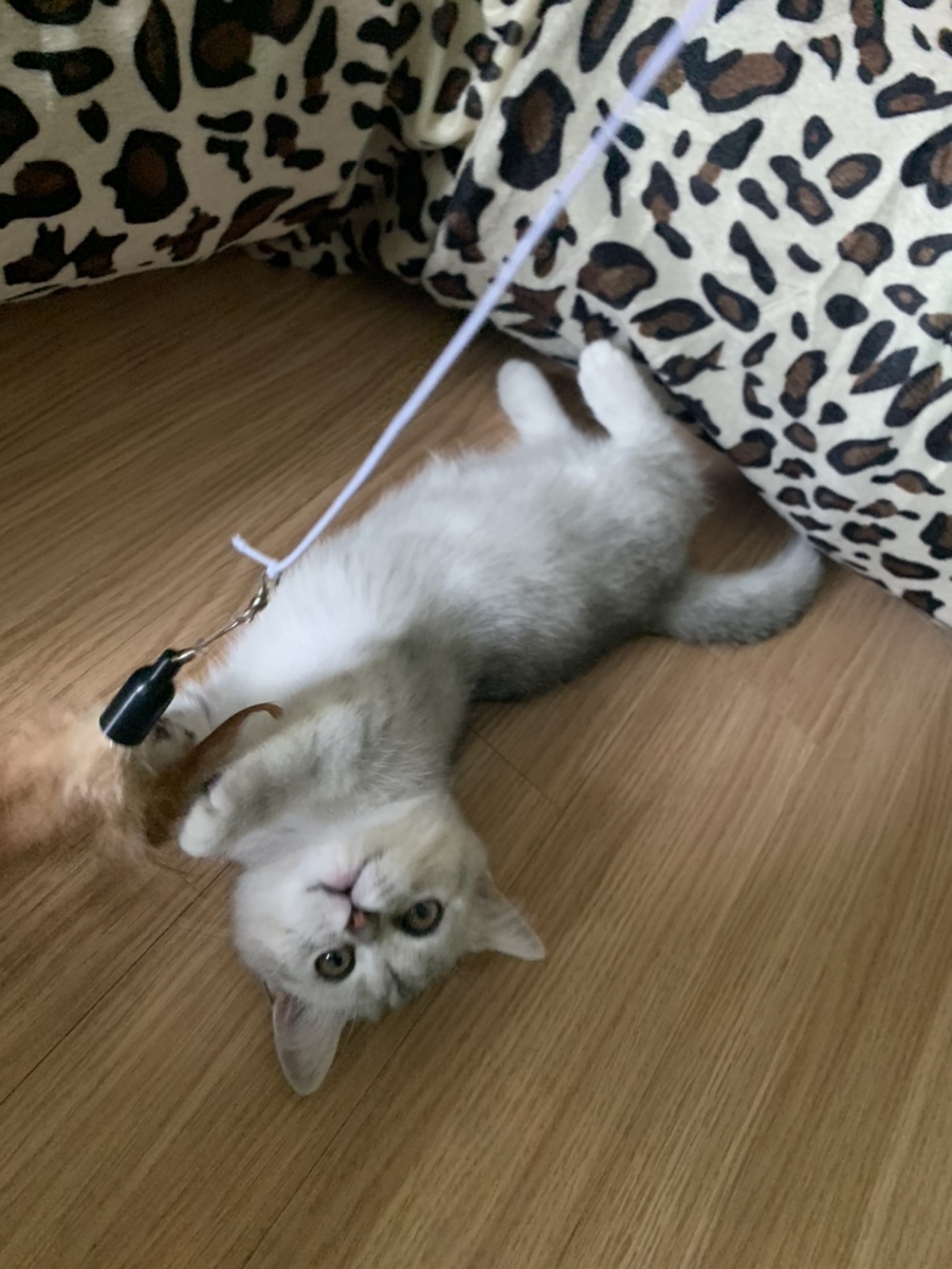 춘삼댁 이미지