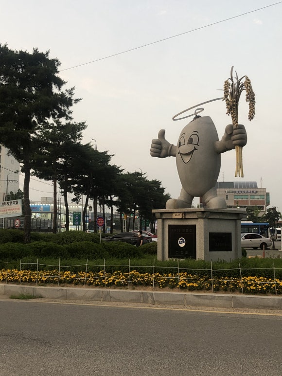 쌀돌이 이미지