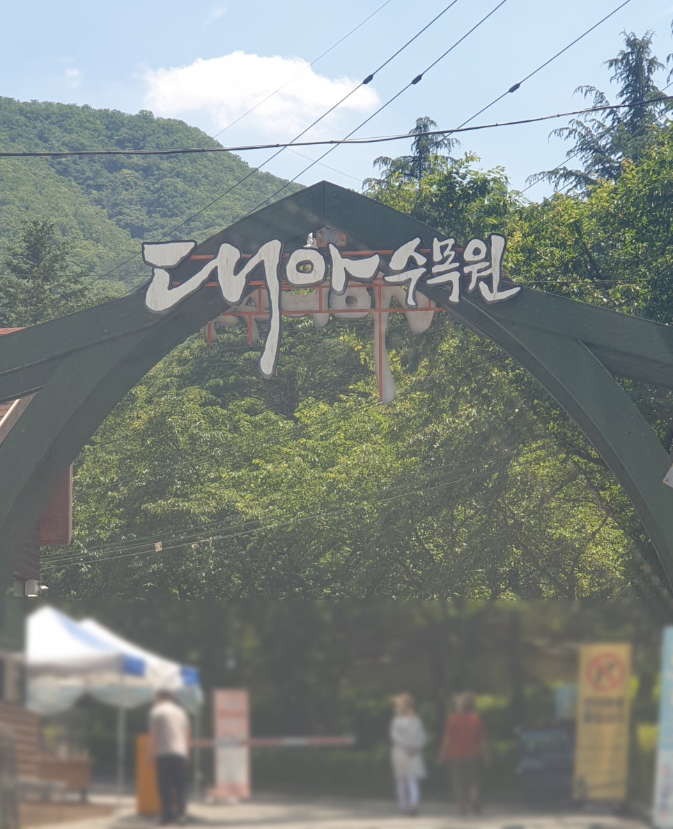 대아전기조명 이미지