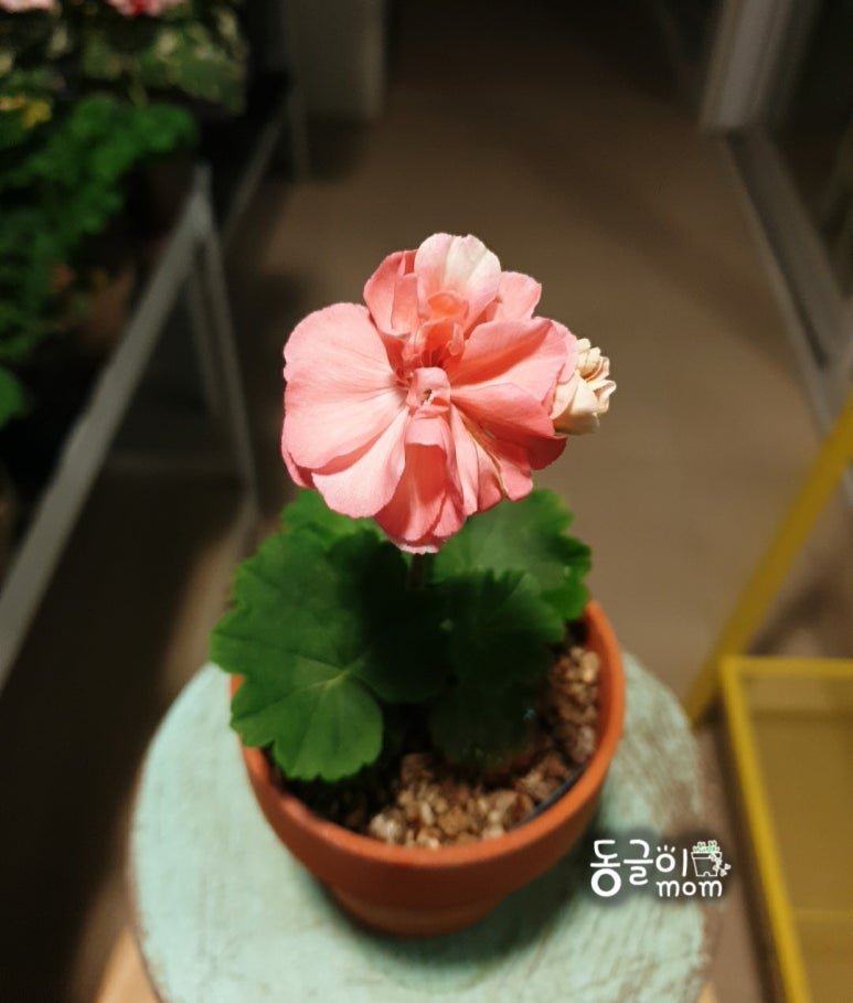 테드웍스 이미지