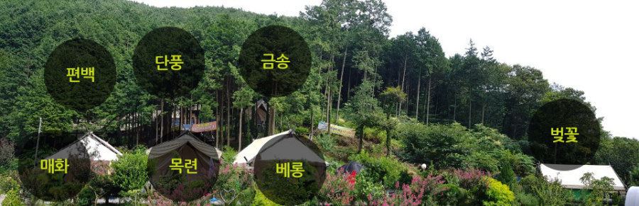 산아래글램핑 이미지