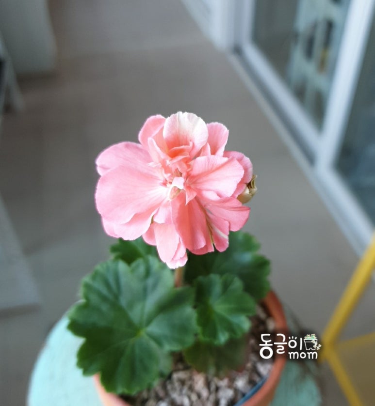 테드웍스 이미지