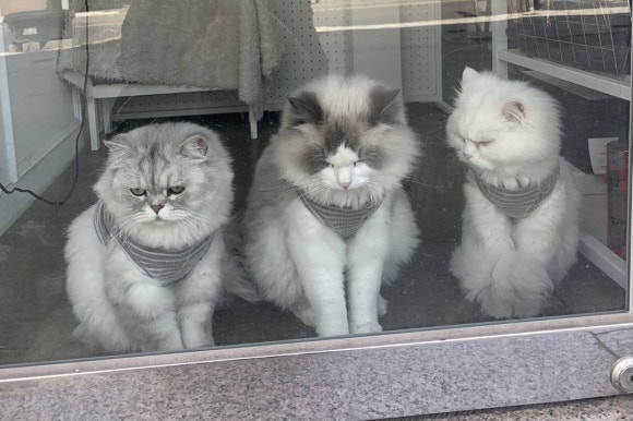 손길 미장원 이미지