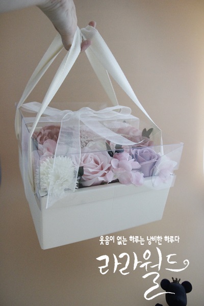 컨브리오 이미지
