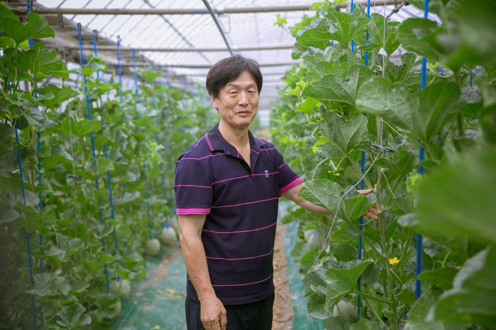 본초밥상 이미지