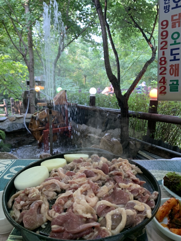 바다빈치 이미지