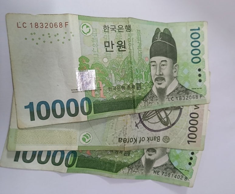 고시책사랑 이미지