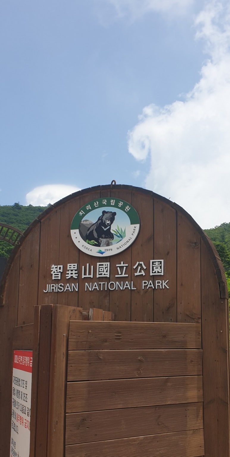 지리산산삼산야초 이미지