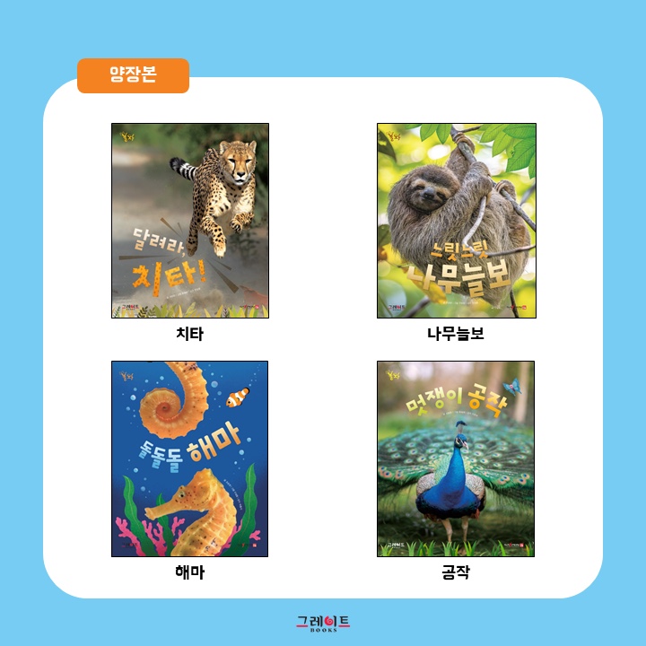 진천서점 이미지