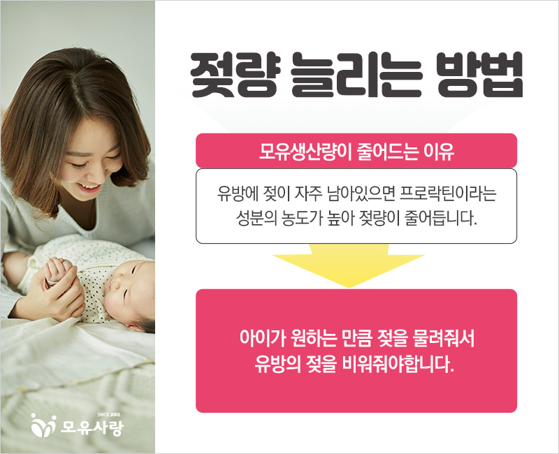 분당 과일사랑 이미지