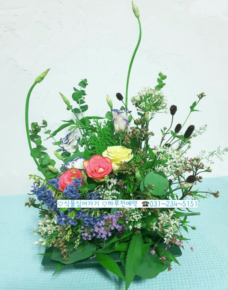아침향기화원 이미지