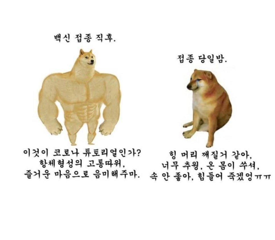 제이데이 이미지