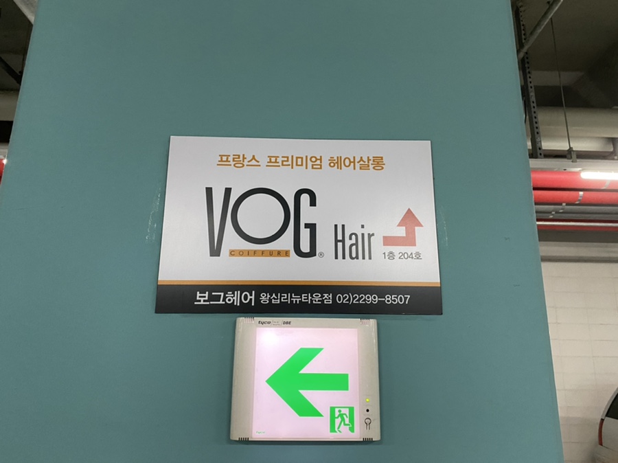 스페이스헤어보그 이미지