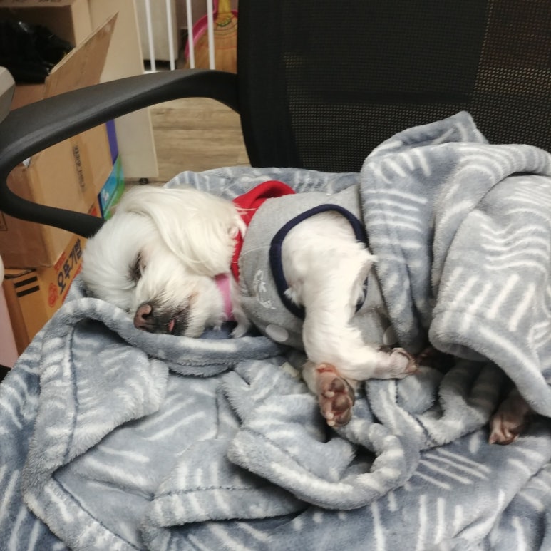 새롬전자 이미지