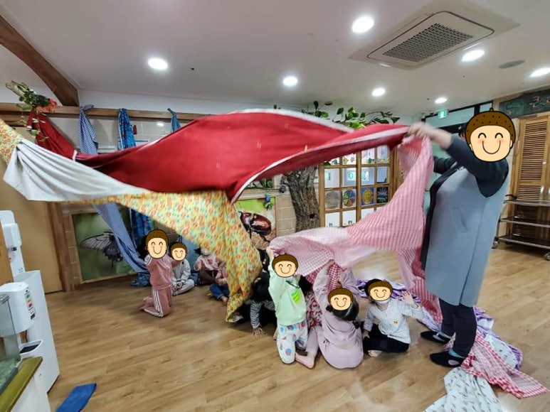 천과나무 이미지