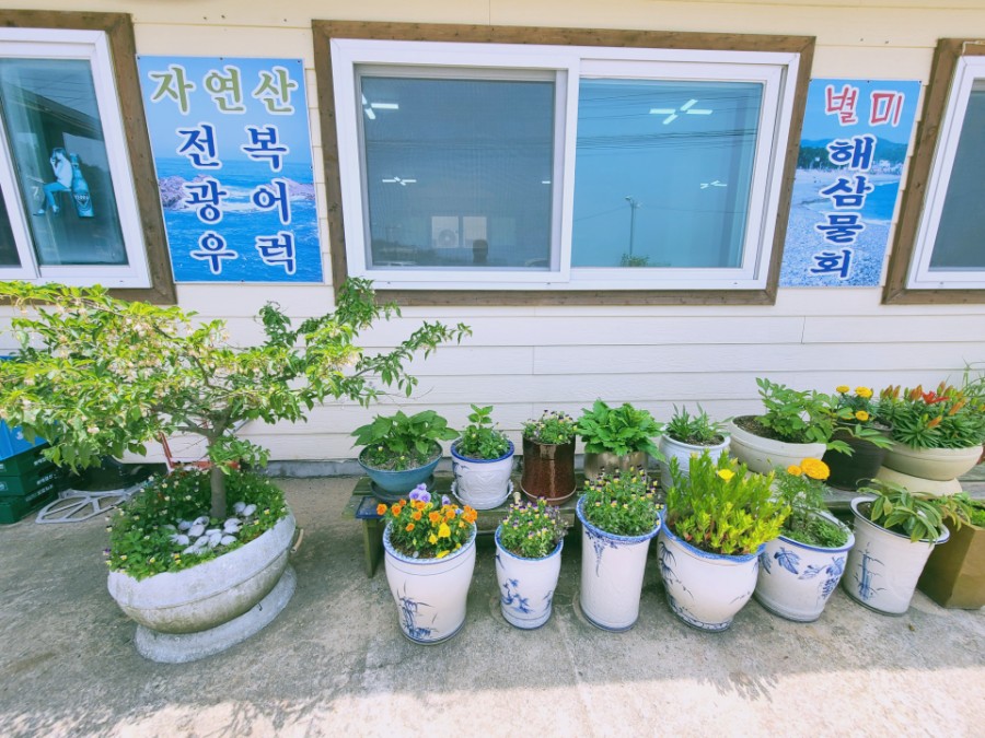 모항자연산횟집 이미지