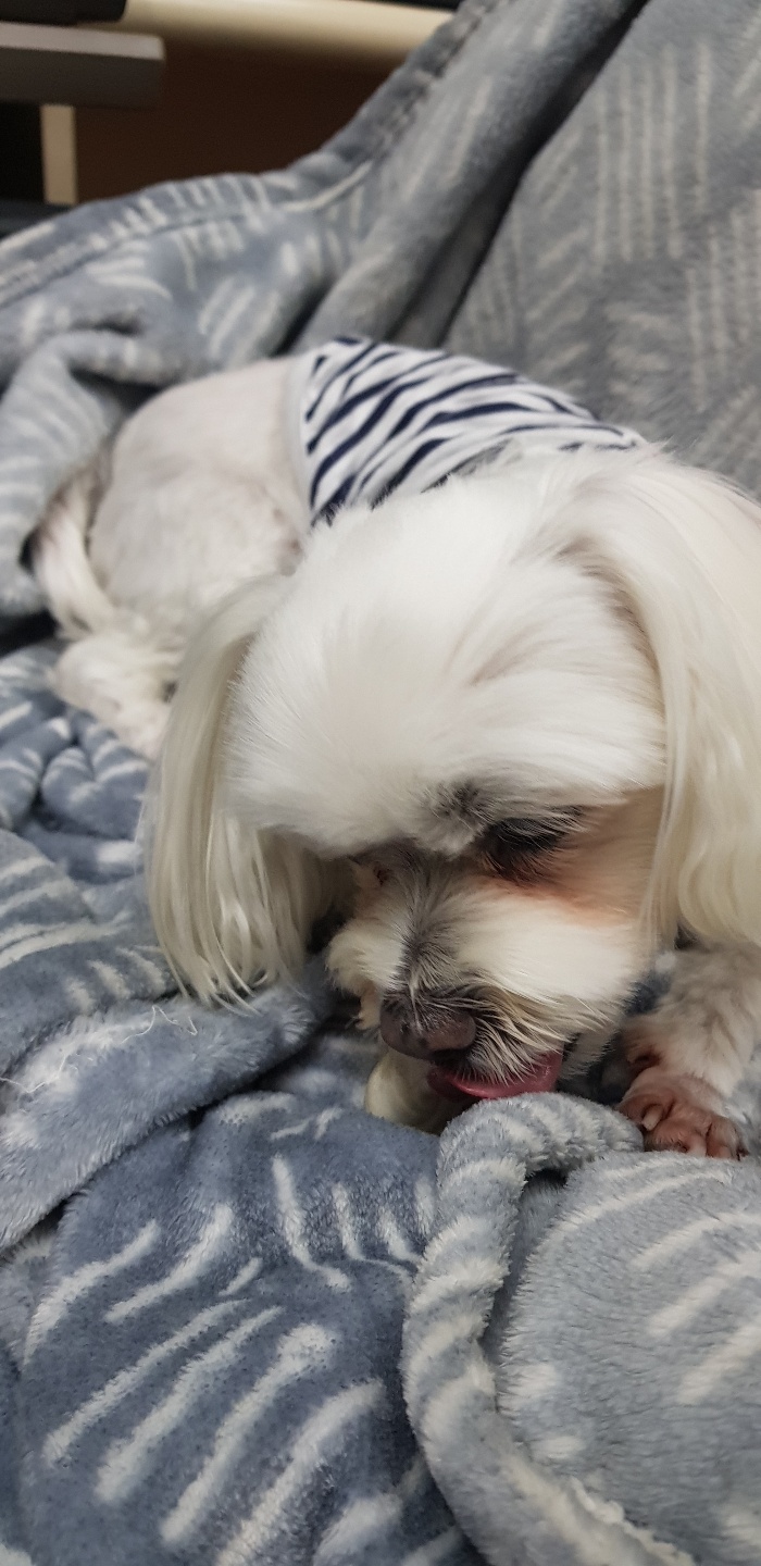 새롬전자 이미지