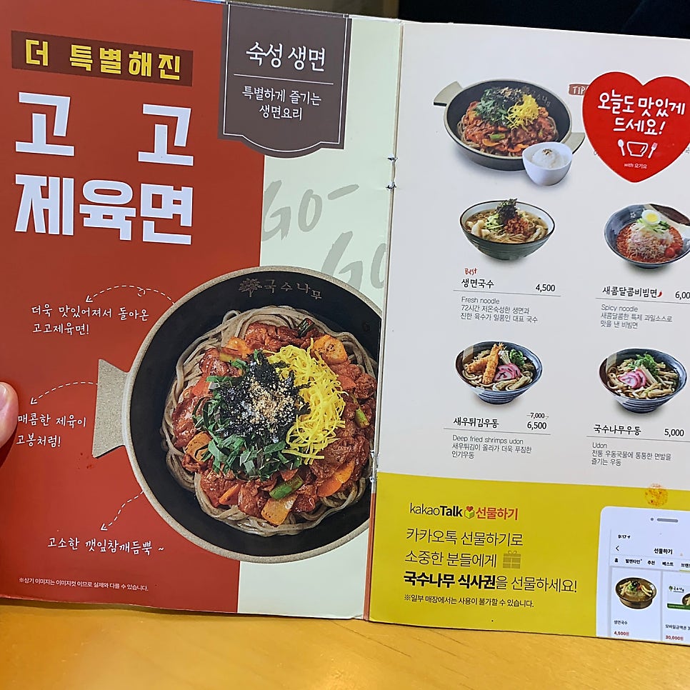 국수나무 이미지