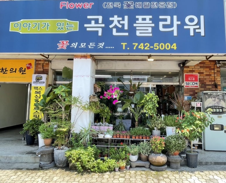 곡천화원 이미지
