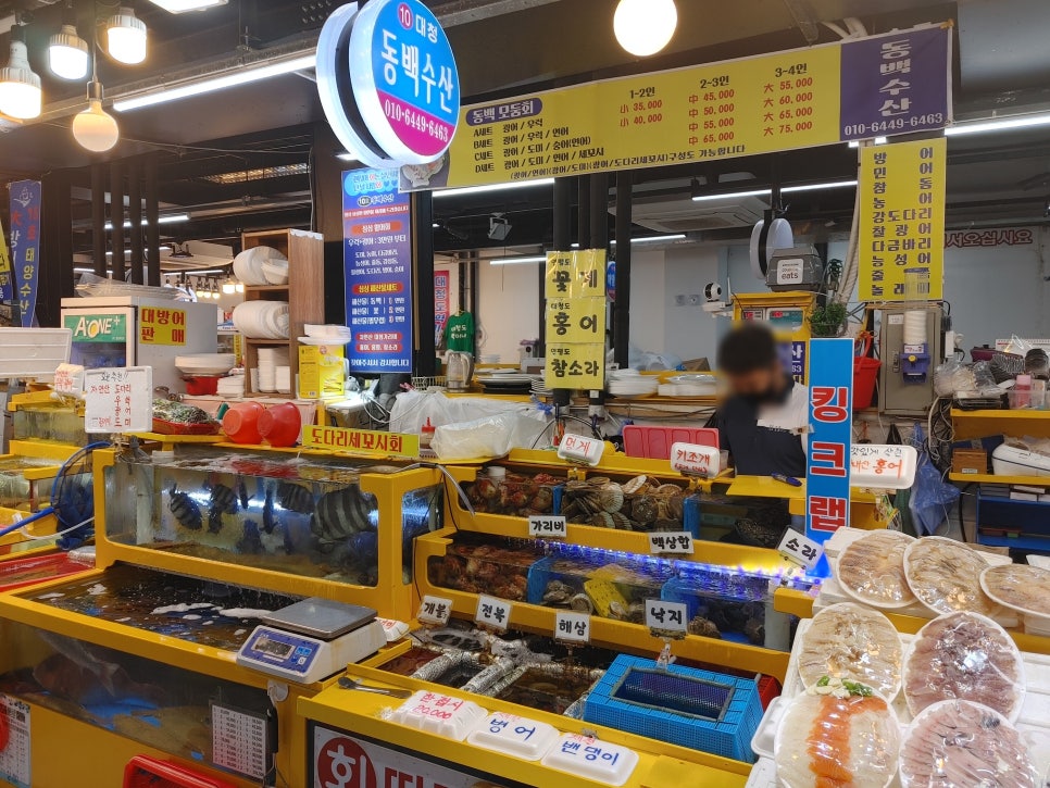 알지 아라 이미지