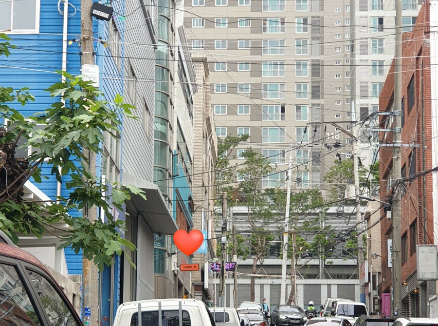 돕피 이미지