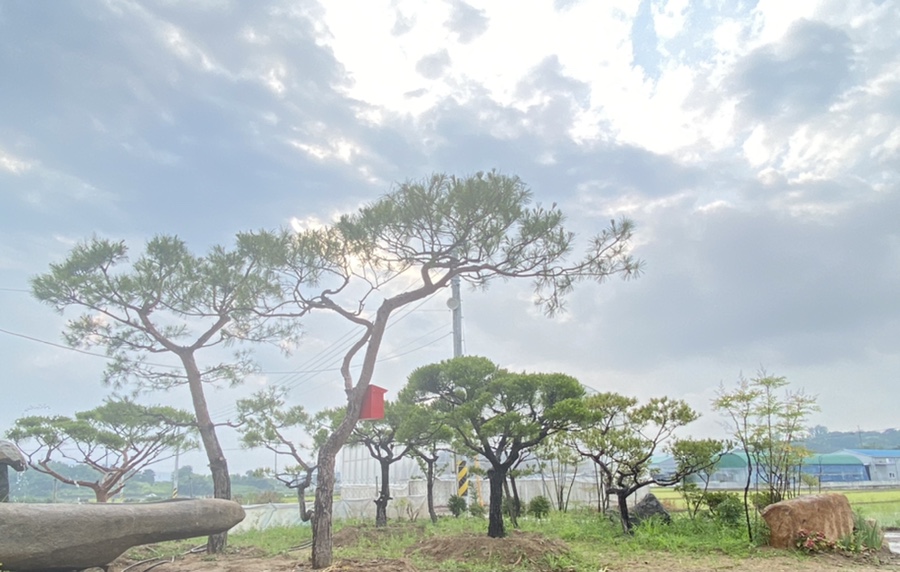 우방조경식물원 이미지