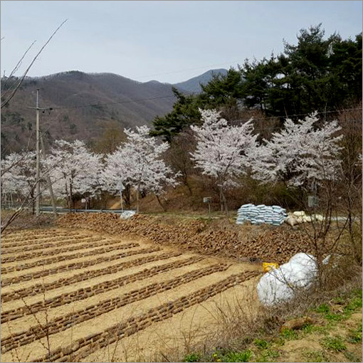 천마여행사 이미지