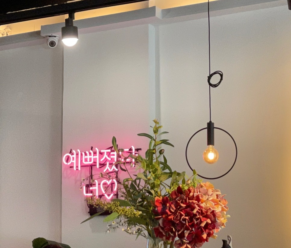 코너381 이미지