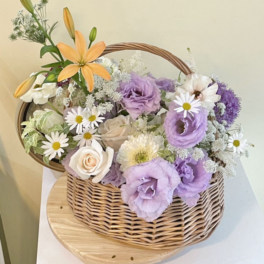 양정상회 이미지