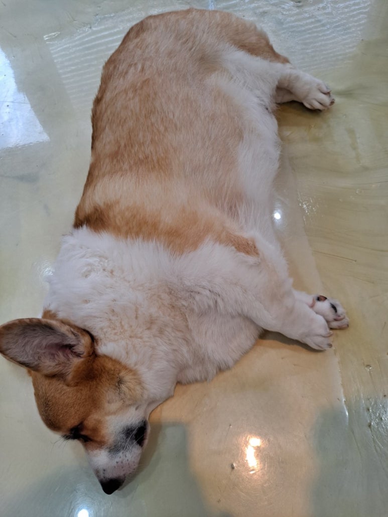 엔터테인멍트 이미지