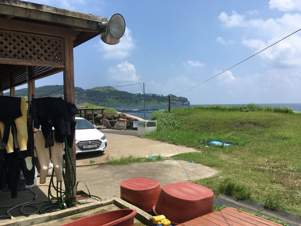 제주스쿠바아로파 이미지