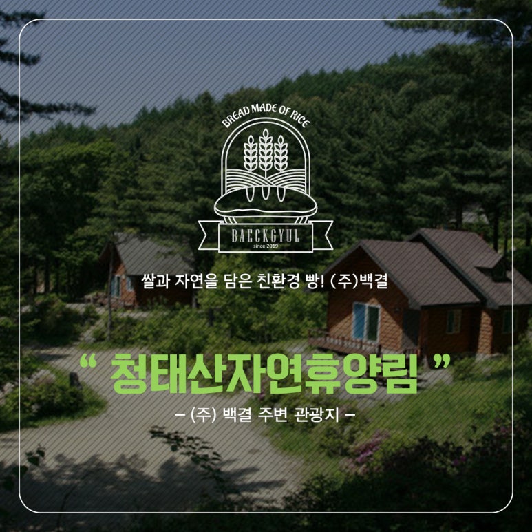 (주)철마관광 이미지