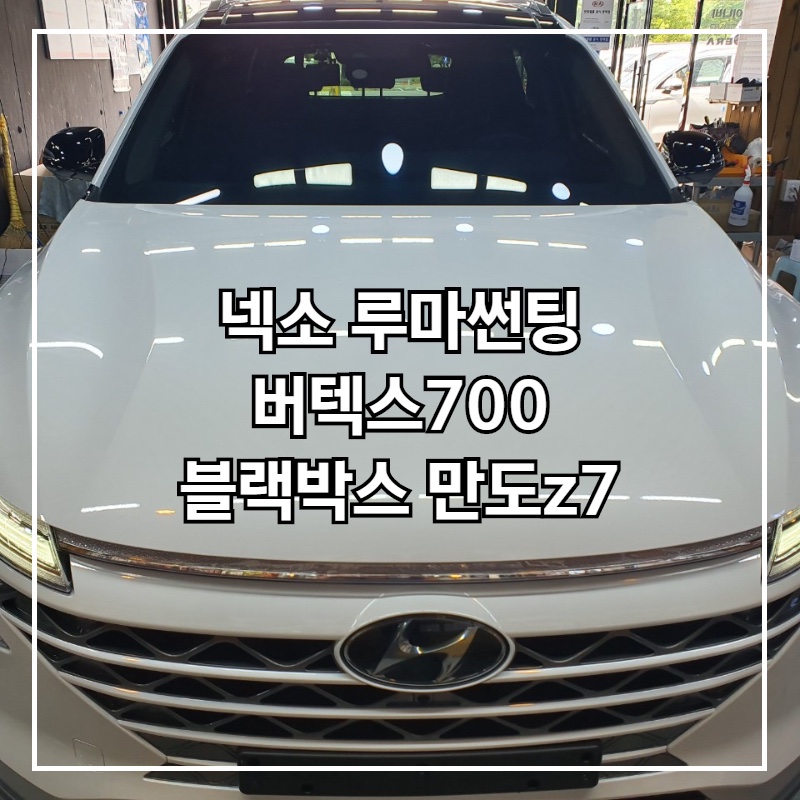 루마버텍스 이미지