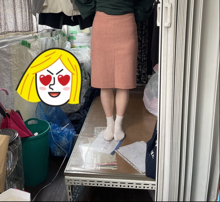 민들레수선 이미지