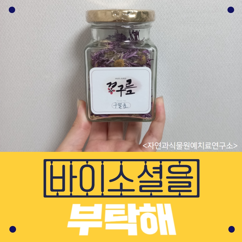 자연과식물원예연구소 이미지