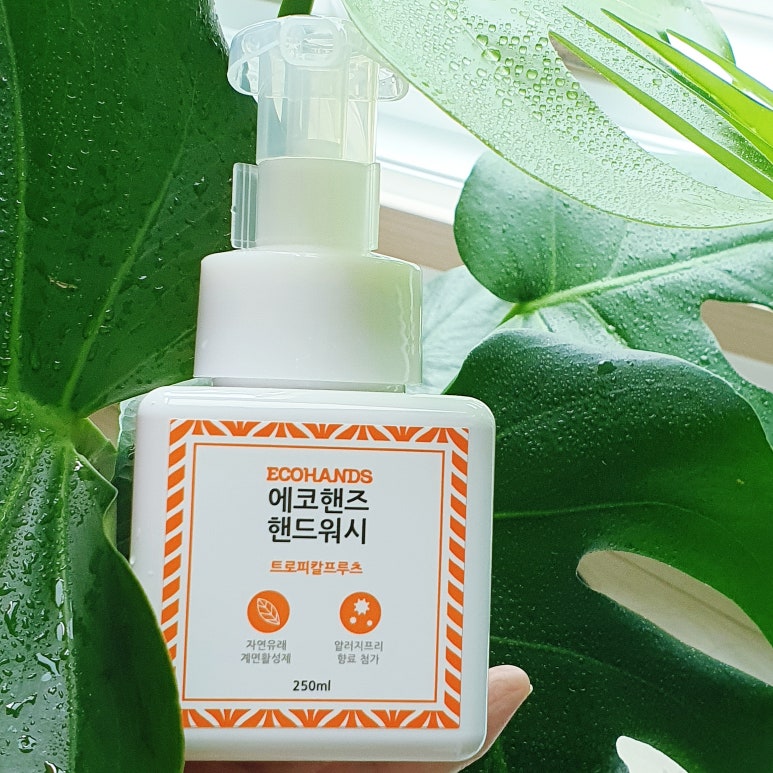 에코핸즈 이미지