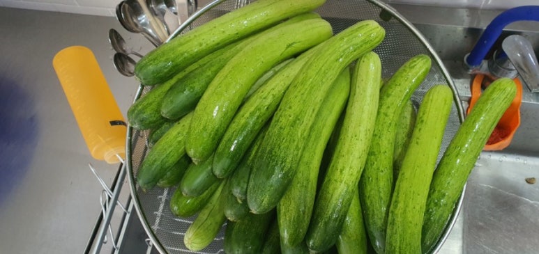 7번가피자목포 이미지