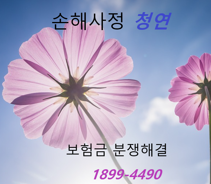 근이케이스 이미지