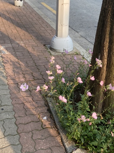 플랜에이스터디카페효자3센터 이미지