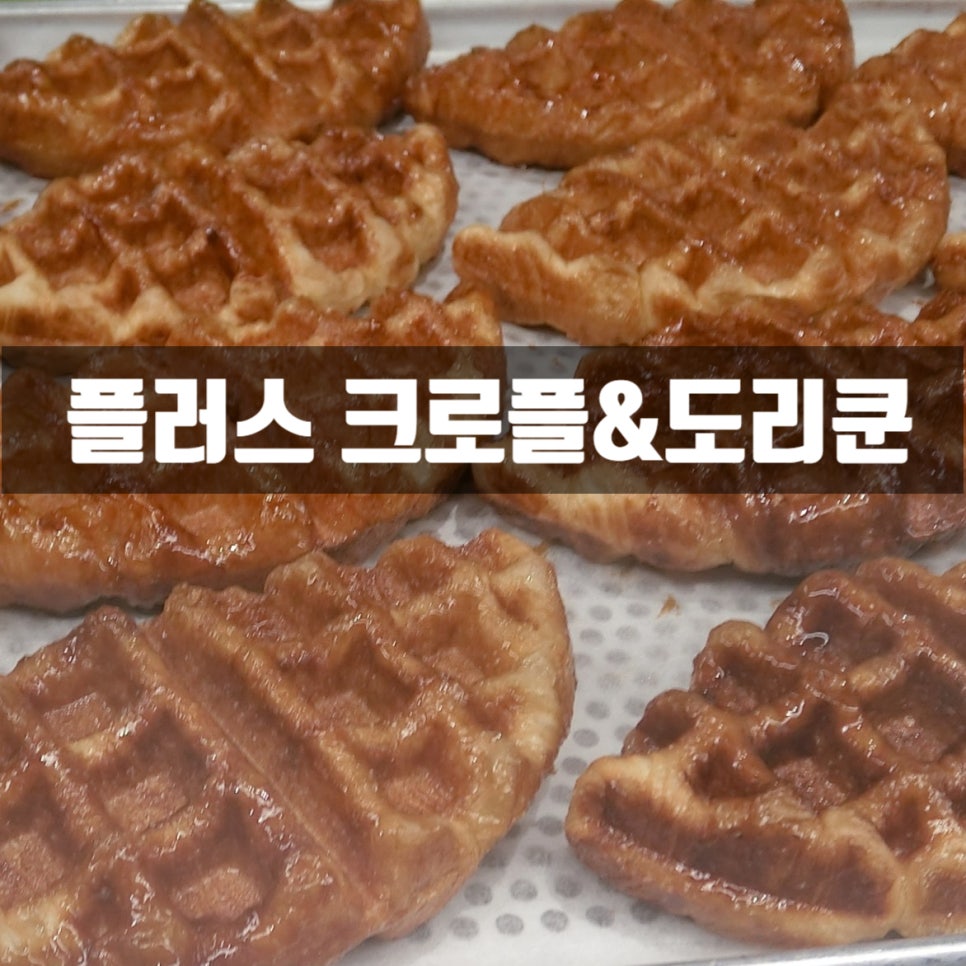 도리쿤 이미지