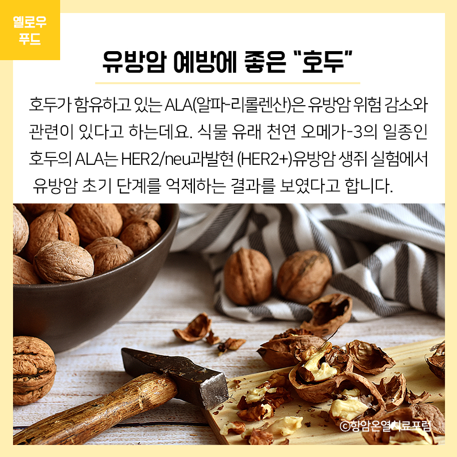 콩과두부 이미지