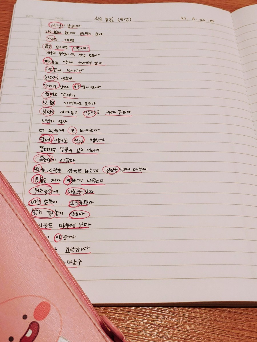 알딸딸한잔 이미지