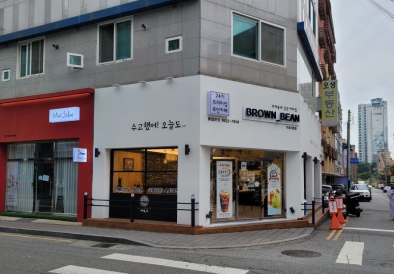 브라운빈두정 이미지