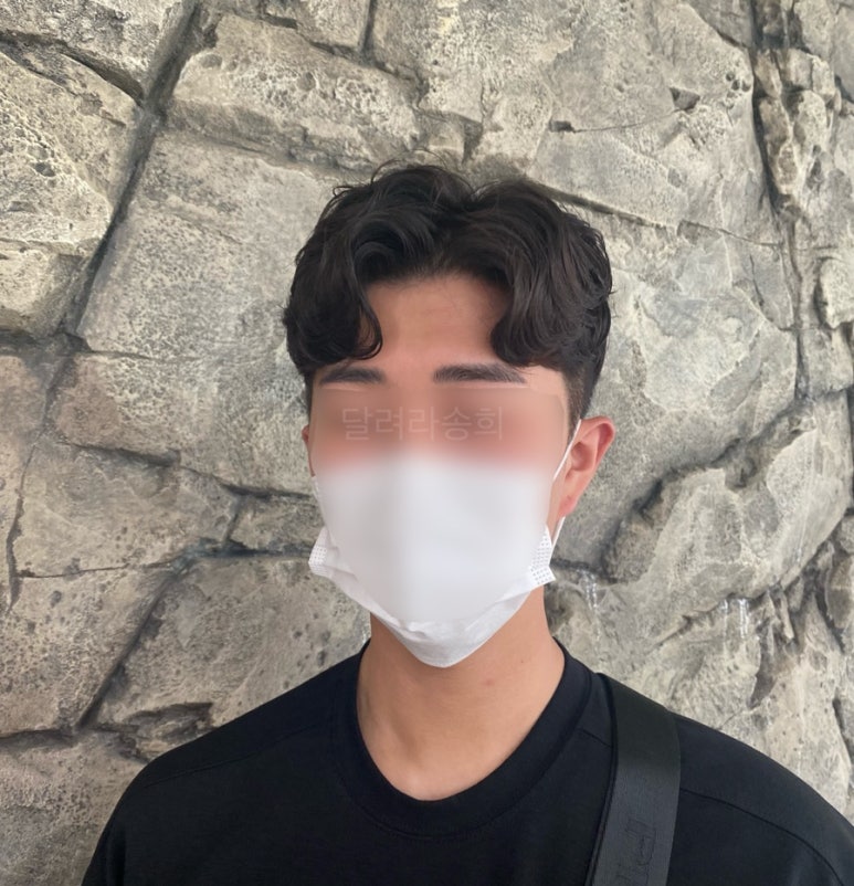 메종드슈브 이미지